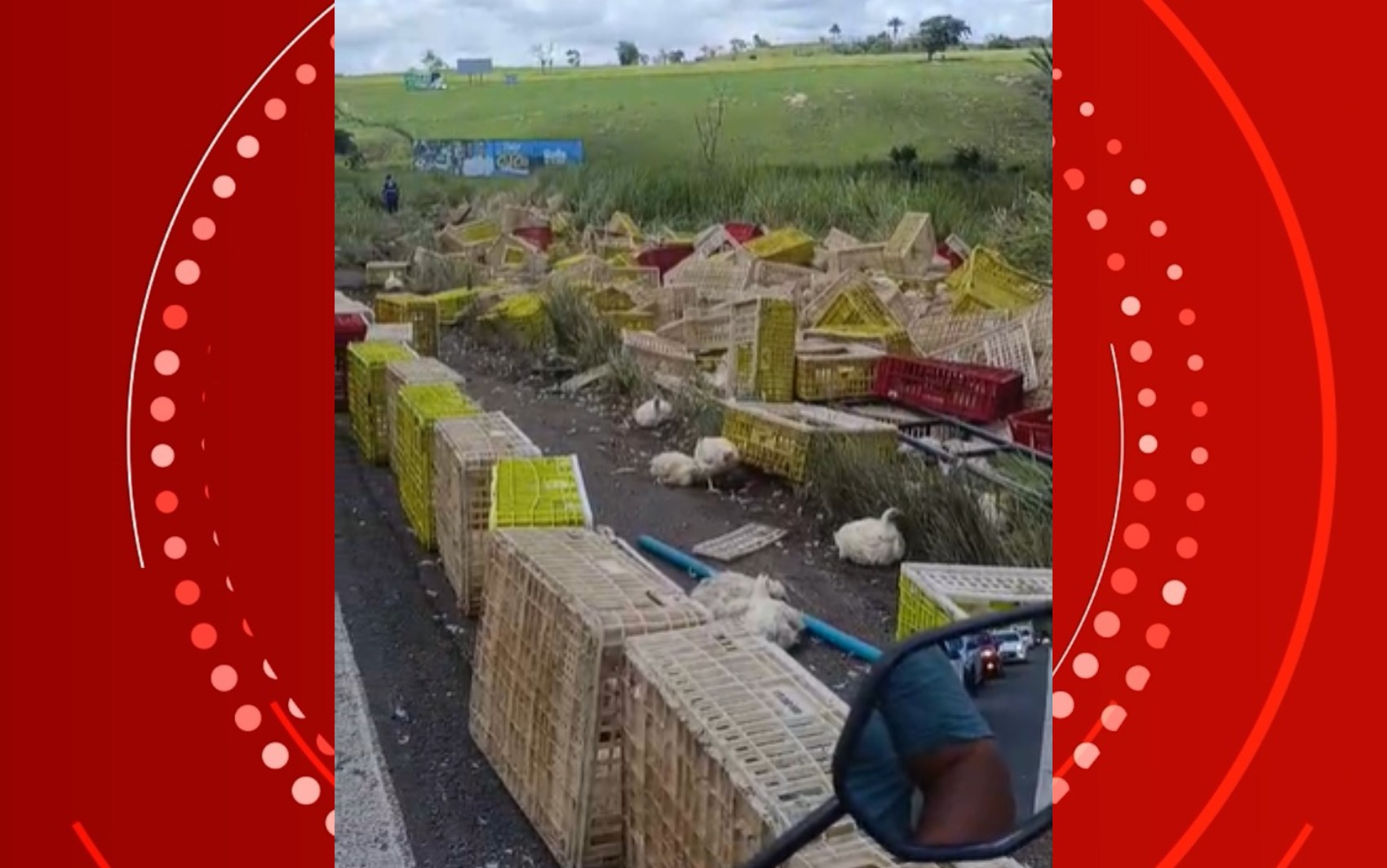 Carreta carregada com frangos tomba na BR-101, na Bahia; motorista morreu