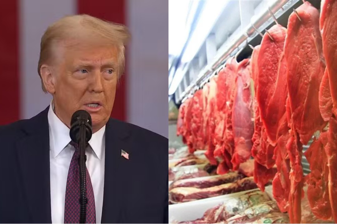 Tarifaço de Trump: PIB de RO pode ter perda milionária com exportações aos EUA; veja quais produtos serão taxados