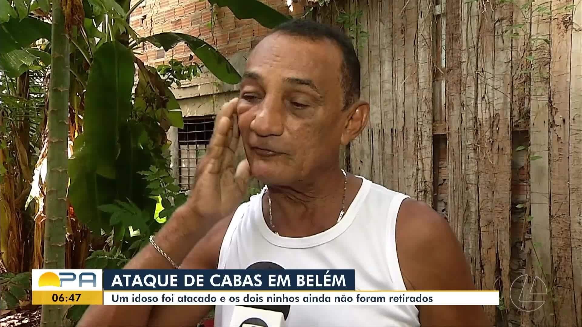 VÍDEOS: BDP de terça-feira, 6 de janeiro de 2026 