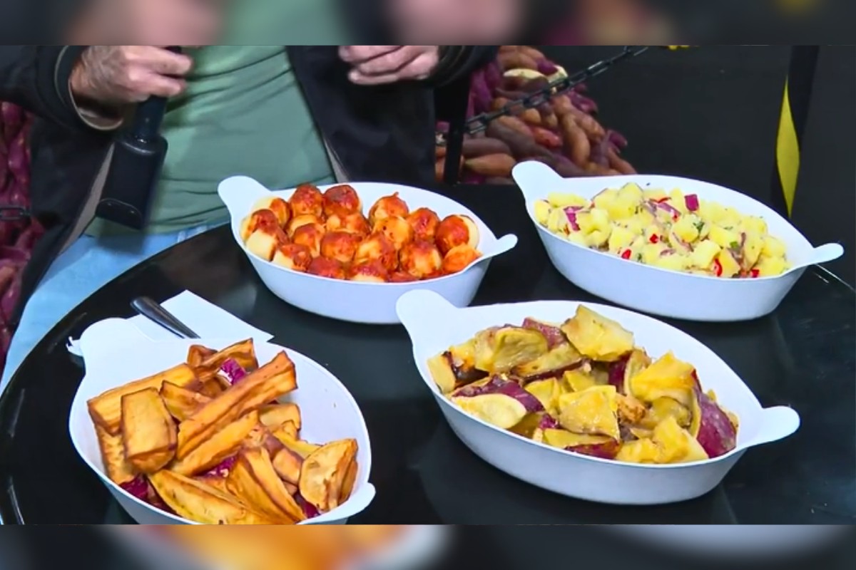 Maior produtor de batata-doce de SP, Oeste Paulista une inovação no campo e gastronomia na 7ª Batatec