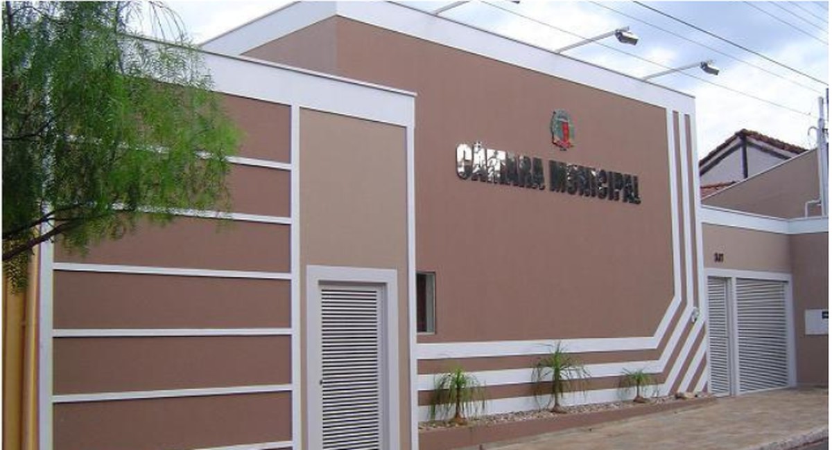 Eleições 2024 veja os 9 vereadores eleitos em Rincão Eleições 2024