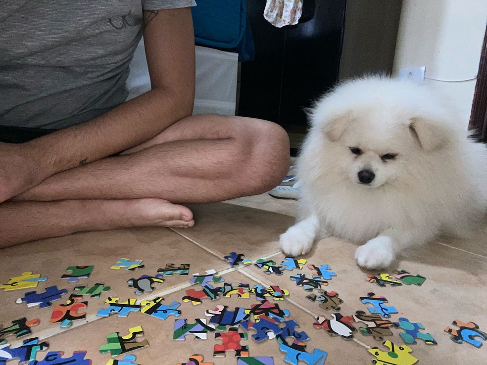 Cachorro Eros tinha três anos — Foto: Arquivo Pessoal