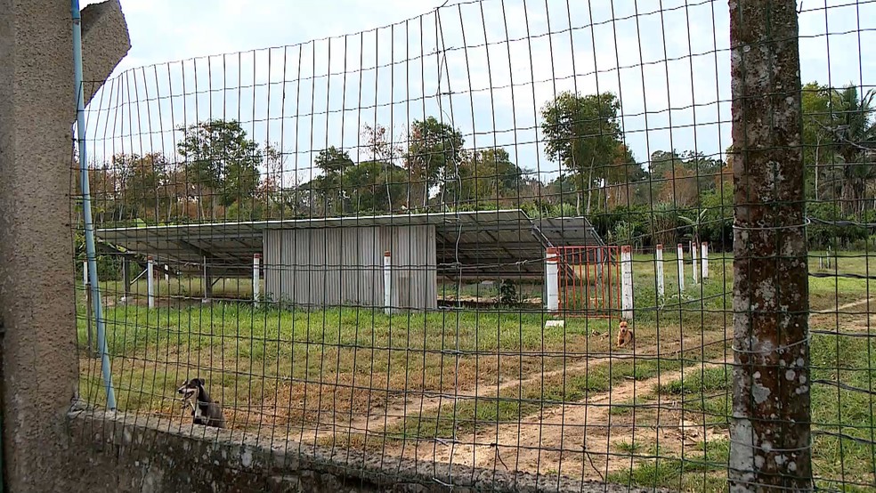 Grade que foi danificada pelos criminosos. — Foto: TV Gazeta