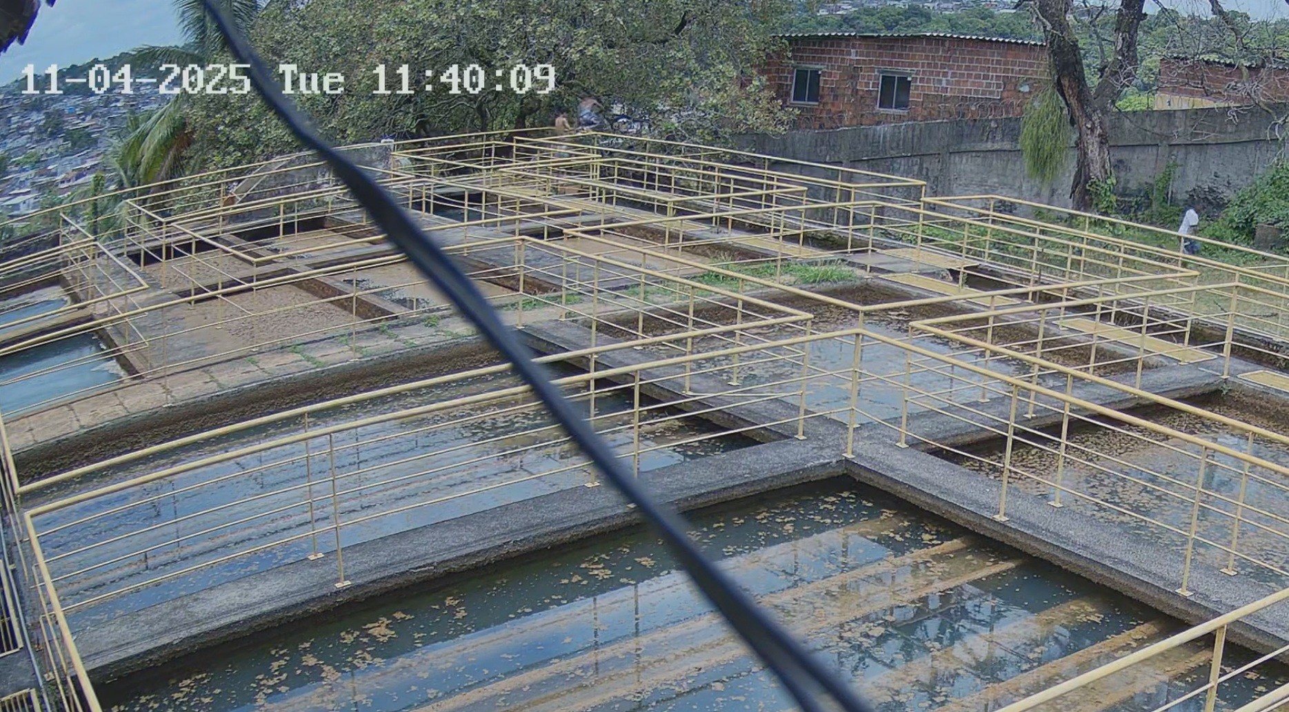 Ladrões se assustam com sirene antifurto e fogem de estação de tratamento da Compesa; VÍDEO