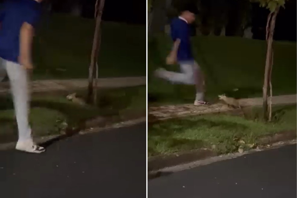 Rapaz de 20 anos foi filmado praticando a agressão em um condomínio de luxo — Foto: Reprodução