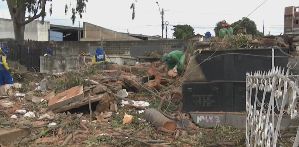 Árvore centenária cai e destrói túmulos em cemitério na Bahia — Foto: Reprodução/TV Sudoeste