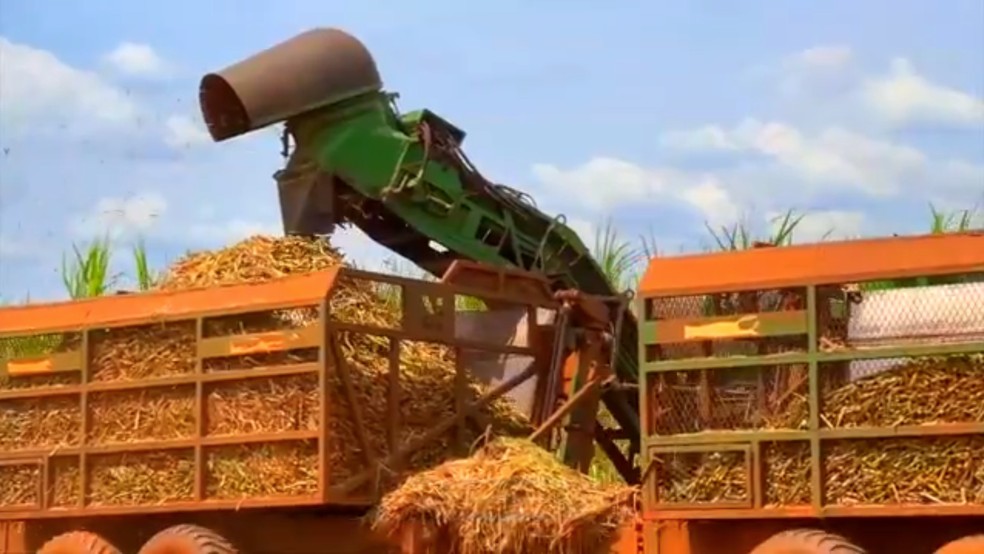 Crise global eleva custos e faz produtores do interior buscarem alternativas — Foto: Reprodução/TV TEM