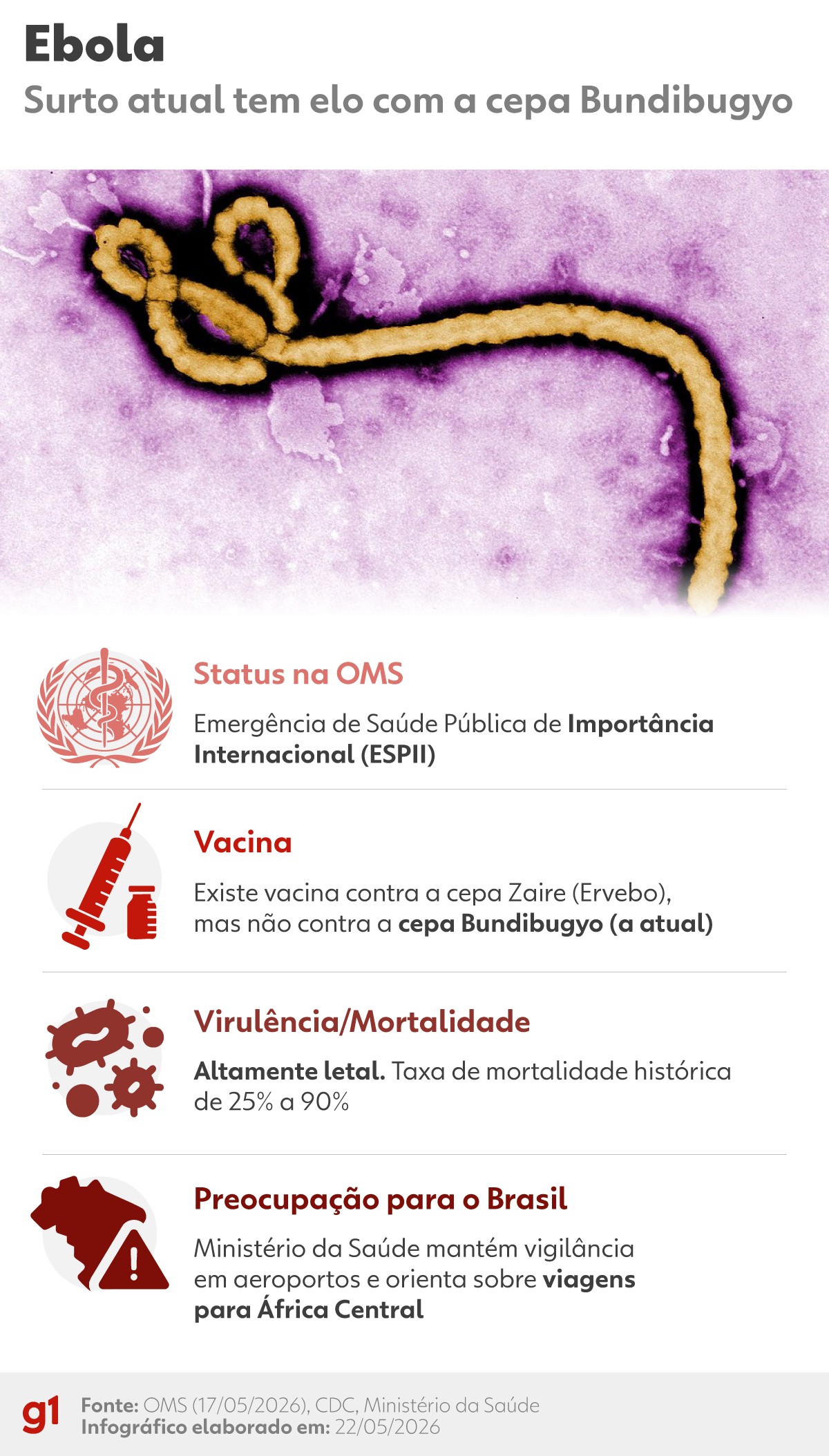 Ebola, hantavírus, Influenza A e mais: quais os vírus mais perigosos hoje e como eles podem afetar sua rotina?