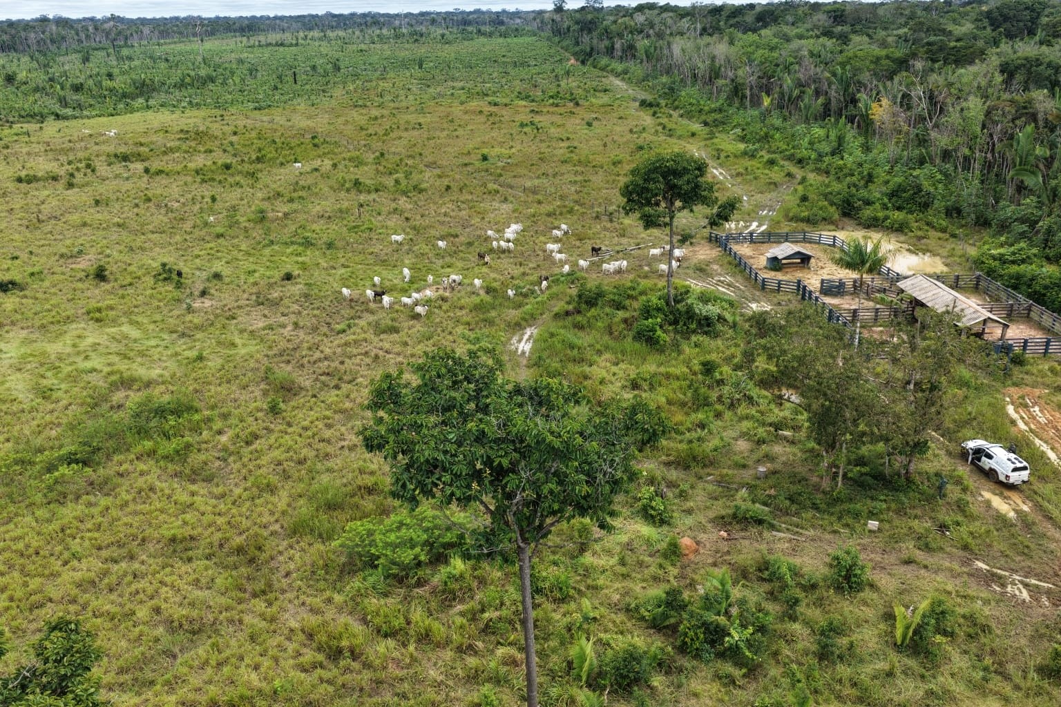 Fiscalização ambiental embarga 115 hectares e multa irregularidades no sul do Amazonas