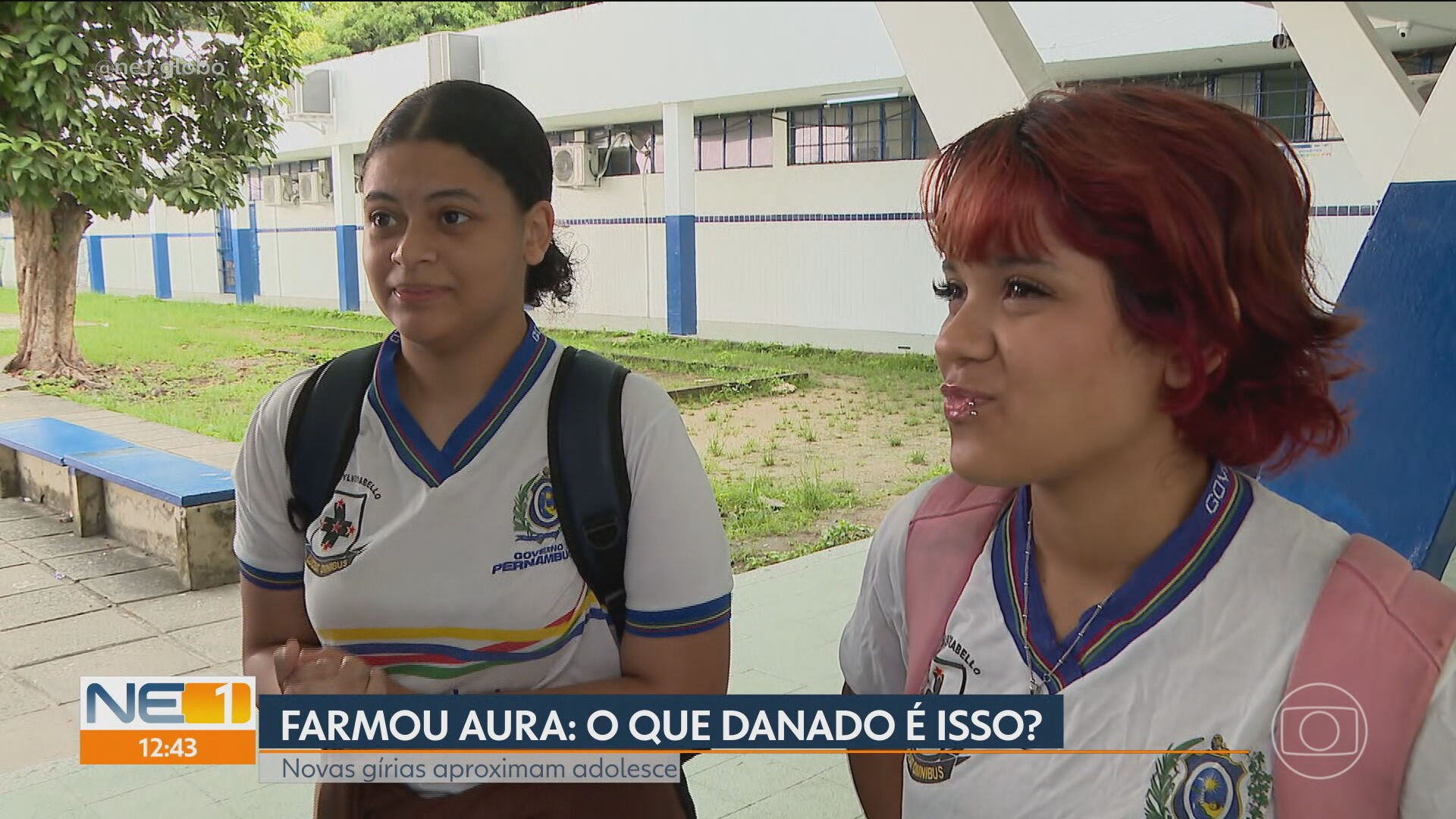 VÍDEOS: NE1 de terça-feira, 12 de maio de 2026