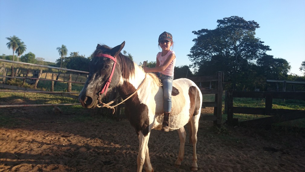 Garotinha Engraçada Com Rabo-de-cavalo No Jardim De Infância