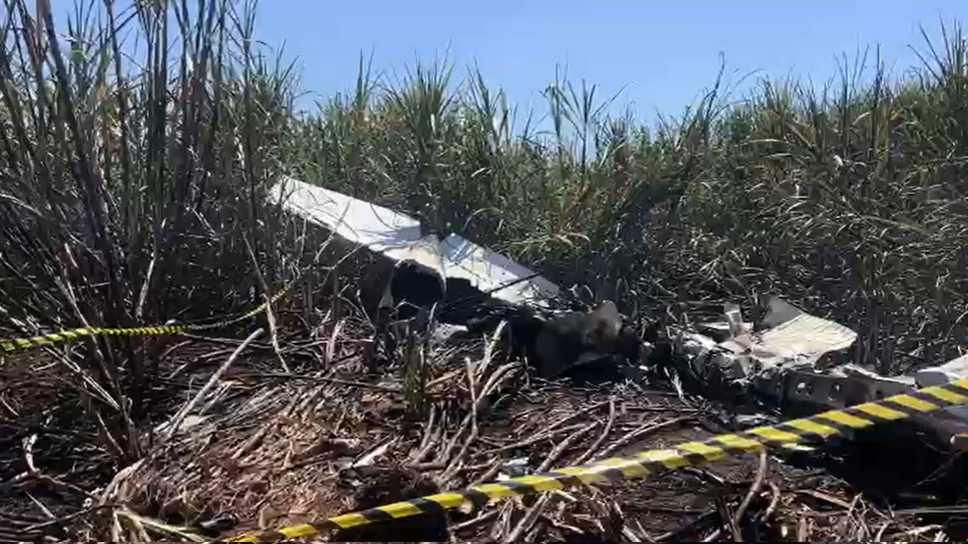 Avião que caiu e matou piloto no interior de SP estava com licença vencida e não podia voar, informa Anac