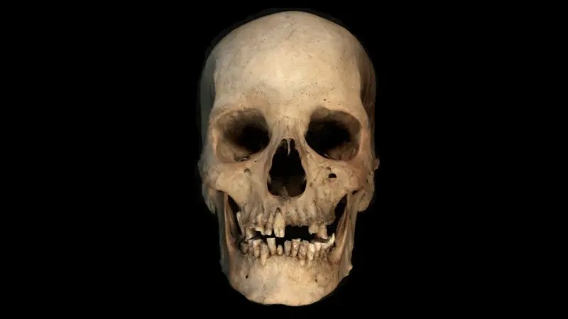 O teste de DNA em osso que pode reescrever a história do Egito antigo