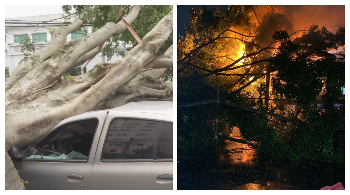 Cidade de SP teve madrugada de chuva e ventos fortes, com quedas de árvore e problemas nos semáforos 