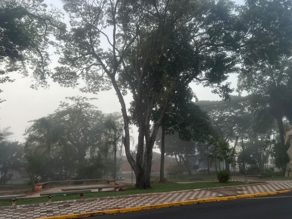 Praça dos Expedicionários, em Bauru (SP), foi tomada por neblina — Foto: Guilherme Leal/g1