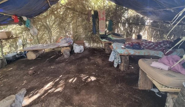 Paraíba registra aumento superior a 380% nos resgates de trabalhadores em condição análoga à escravidão