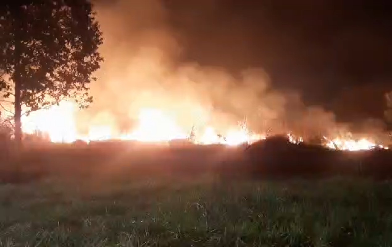 Incêndio atinge área de mata em frente à UPA Mary Dota em Bauru