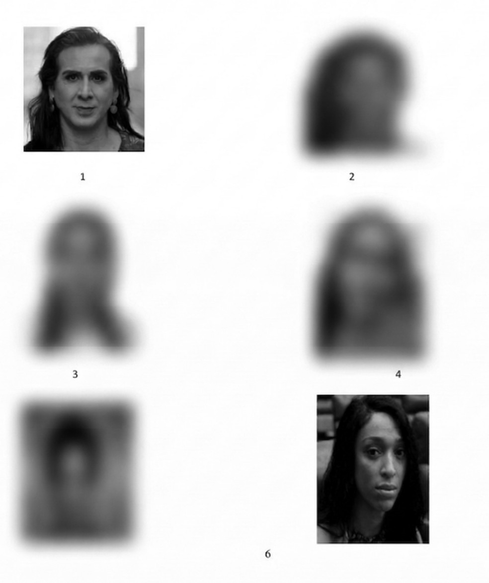 Fotos das deputadas Duda Salabert e Erika Hilton em álbum de reconhecimento de suspeitos — Foto: Reprodução