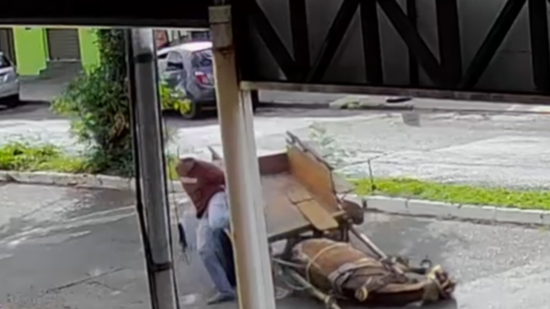 VÍDEO: Cavalo cai ao passar por lombada enquanto puxava carroça em Uberlândia