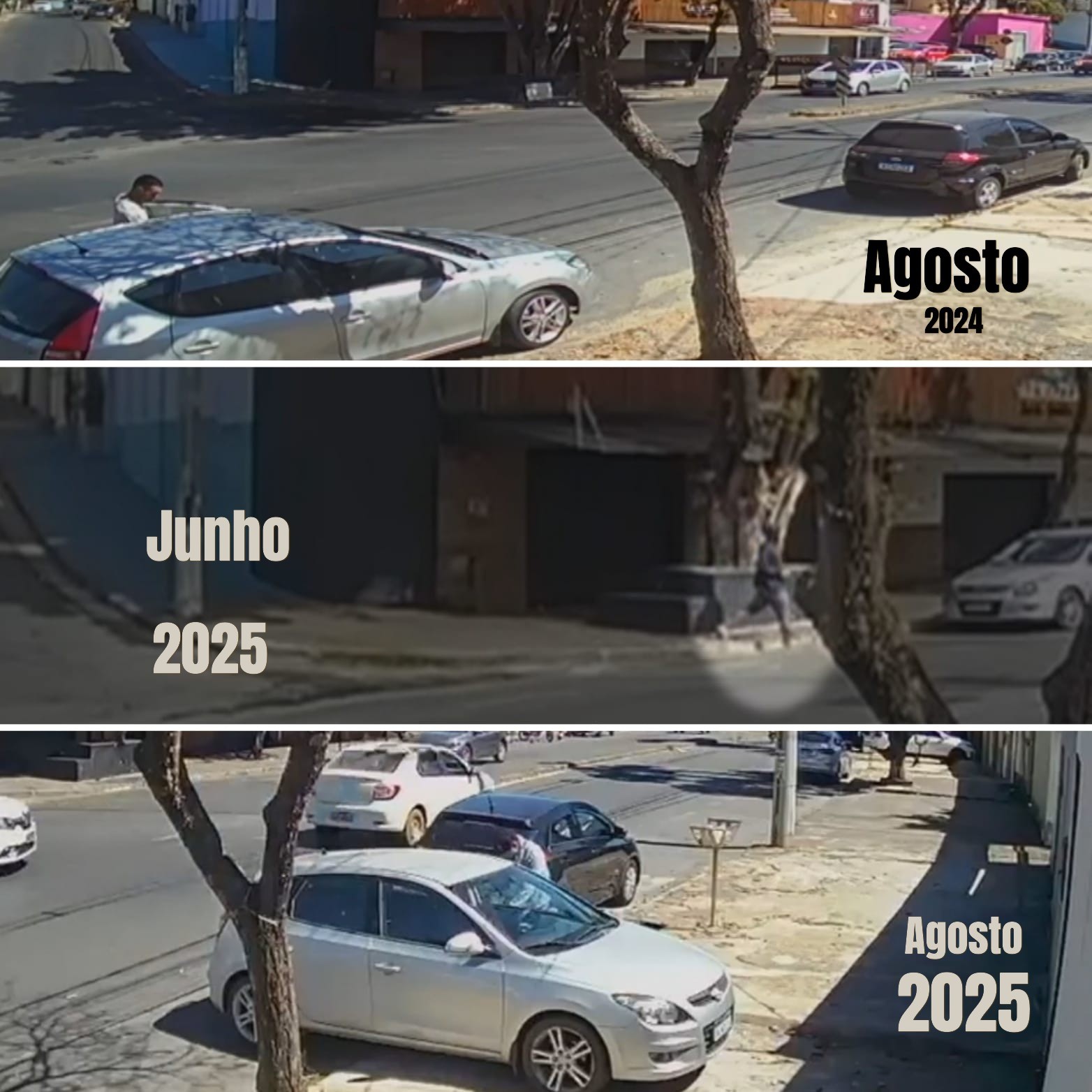 Minas Gerais registra aumento de furtos e receptações de veículos em 2025; diz SEJUSP