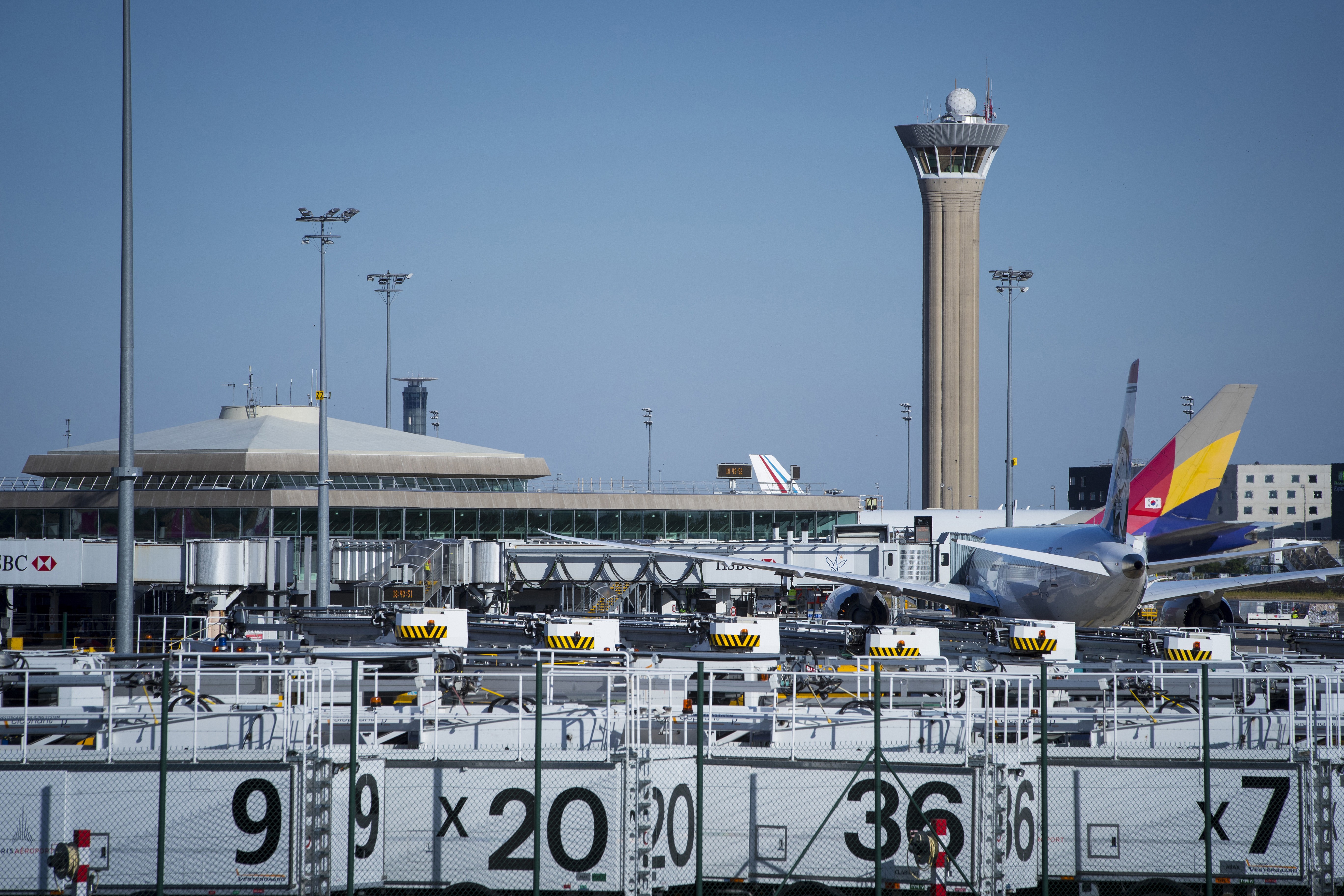 Cachorra foge de avião, provoca operação inédita e fecha pistas do maior aeroporto da França