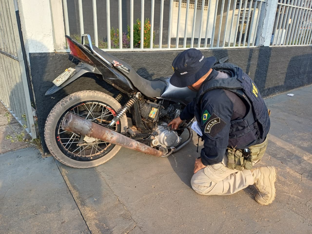 PRF flagra transporte ilegal de madeira e veículo com sinais de adulteração em Santarém