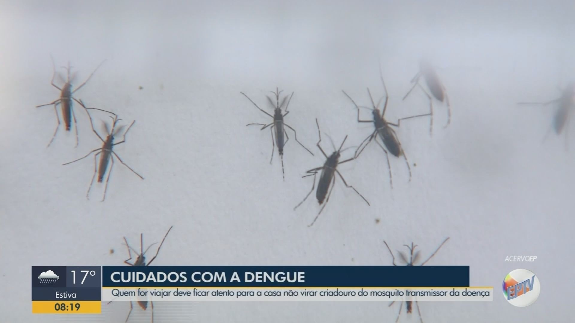 VÍDEOS: Bom Dia Cidade Sul de Minas de quinta-feira, 9 de janeiro de 2025