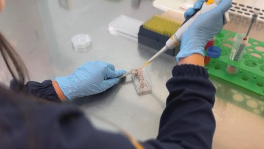 Lula sanciona lei que proíbe uso de animais em testes de cosméticos - Ato normativo foi publicado no Diário Oficial da União (DOU) desta quinta (31). Projeto foi aprovado pela Câmara no início de julho.
