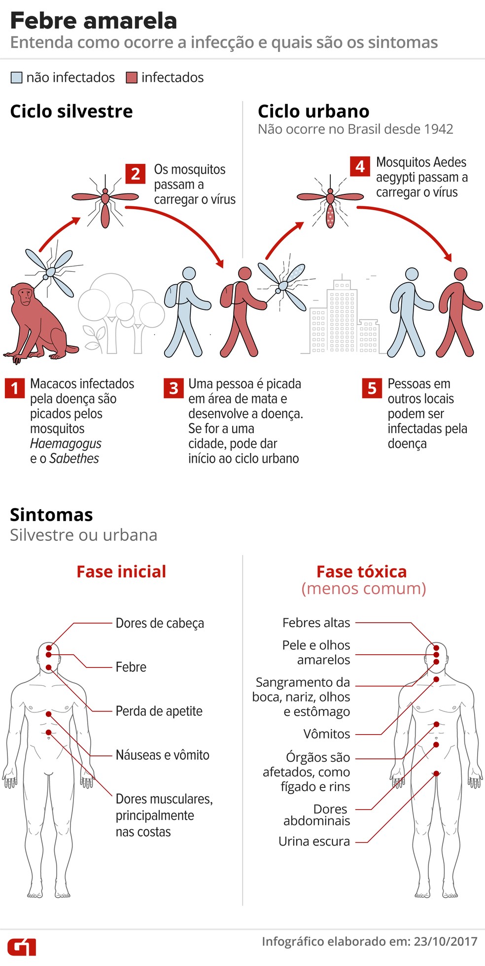 Entenda como ocorre a infecção e quais são os sintomas da febre amarela — Foto: Alexandre Mauro/Editoria de Arte G1