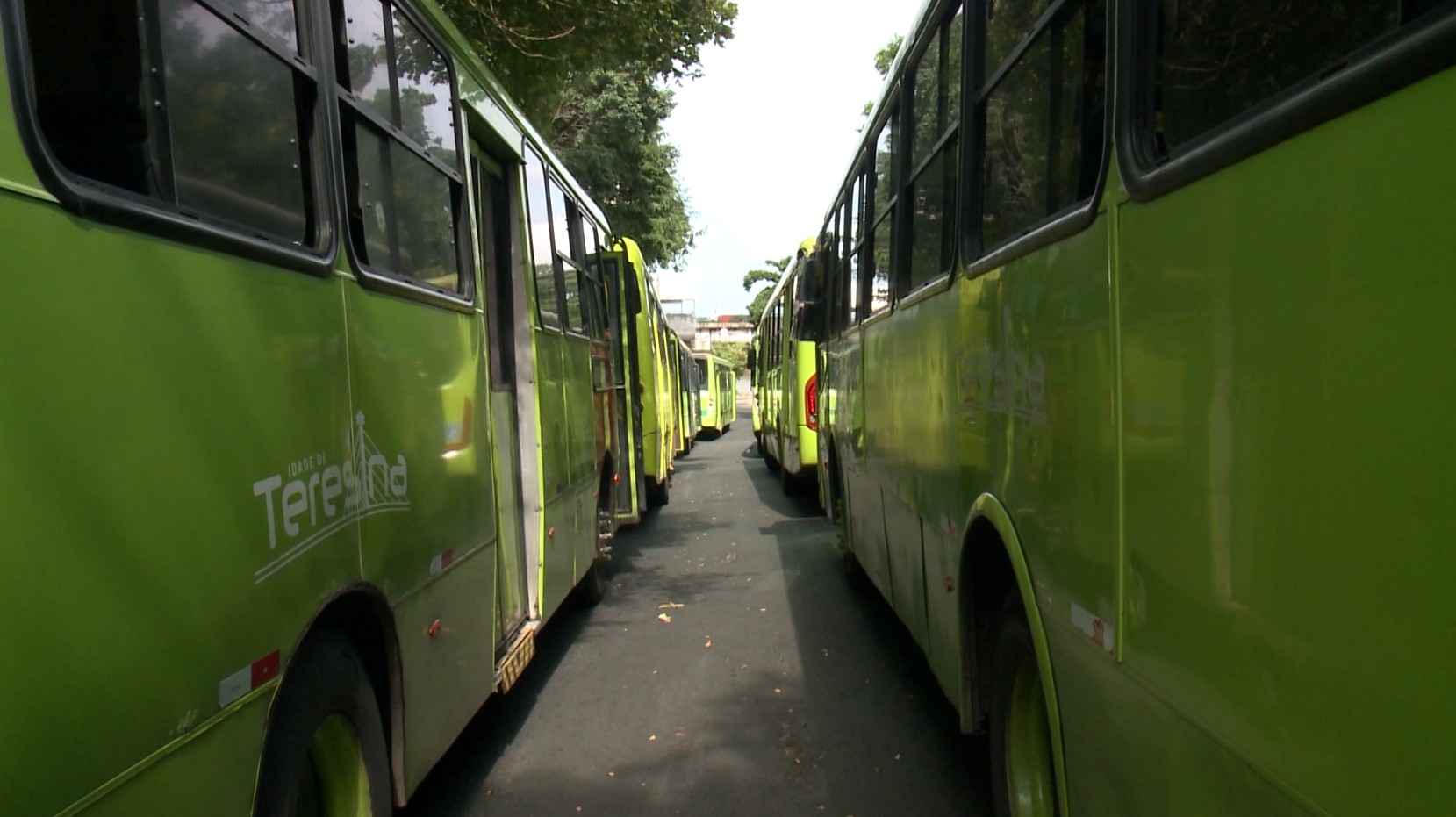 Greve no sistema de ônibus de Teresina: fiscalização aponta frota abaixo do determinado pela Justiça