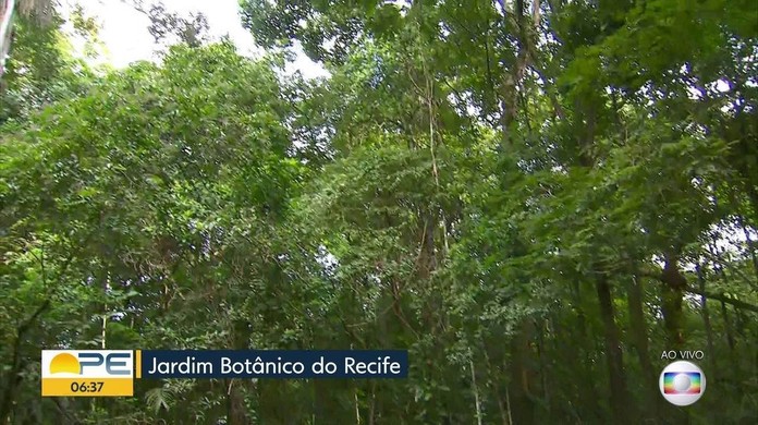 PE Jardim Botânico