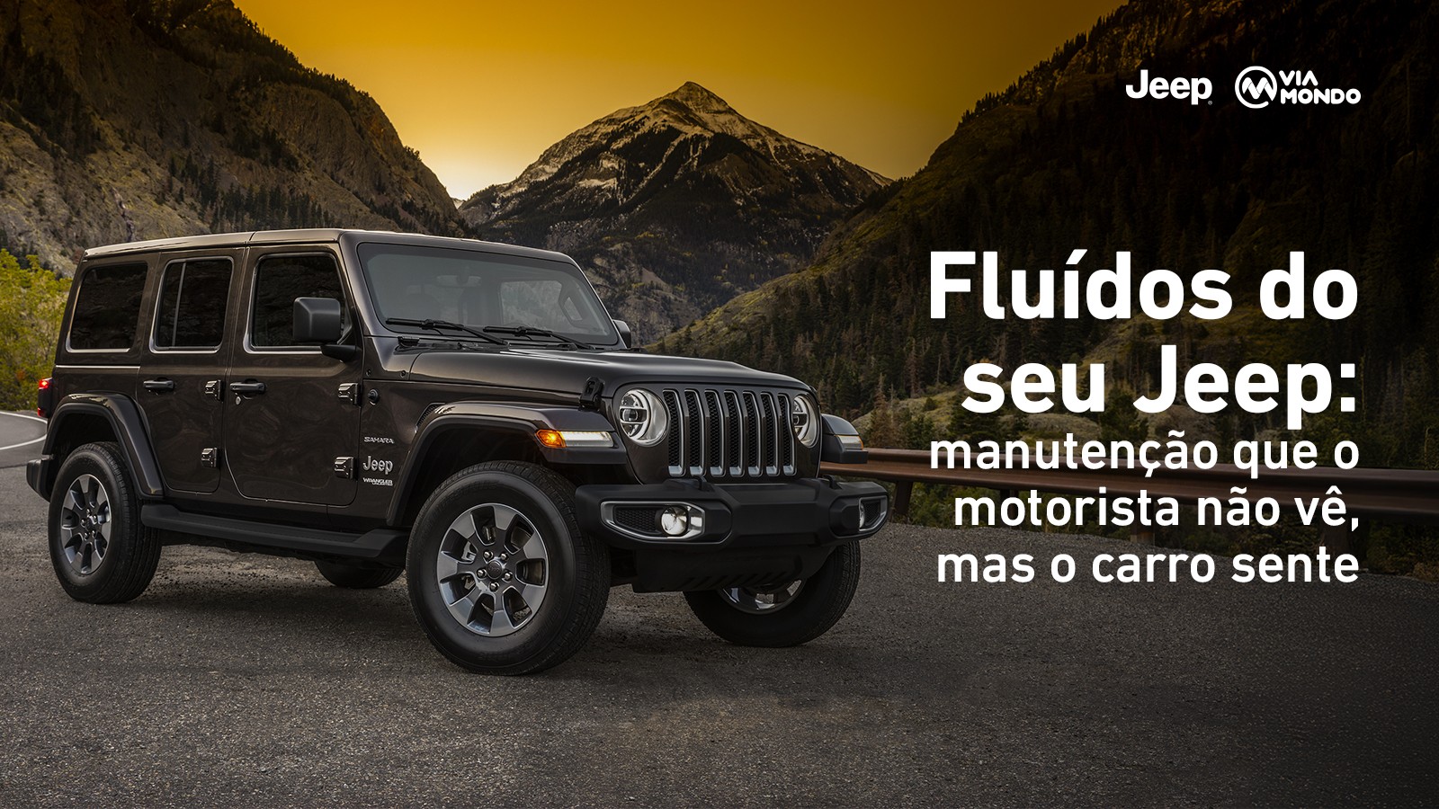 Fluídos do seu Jeep: manutenção que o motorista não vê, mas o carro sente