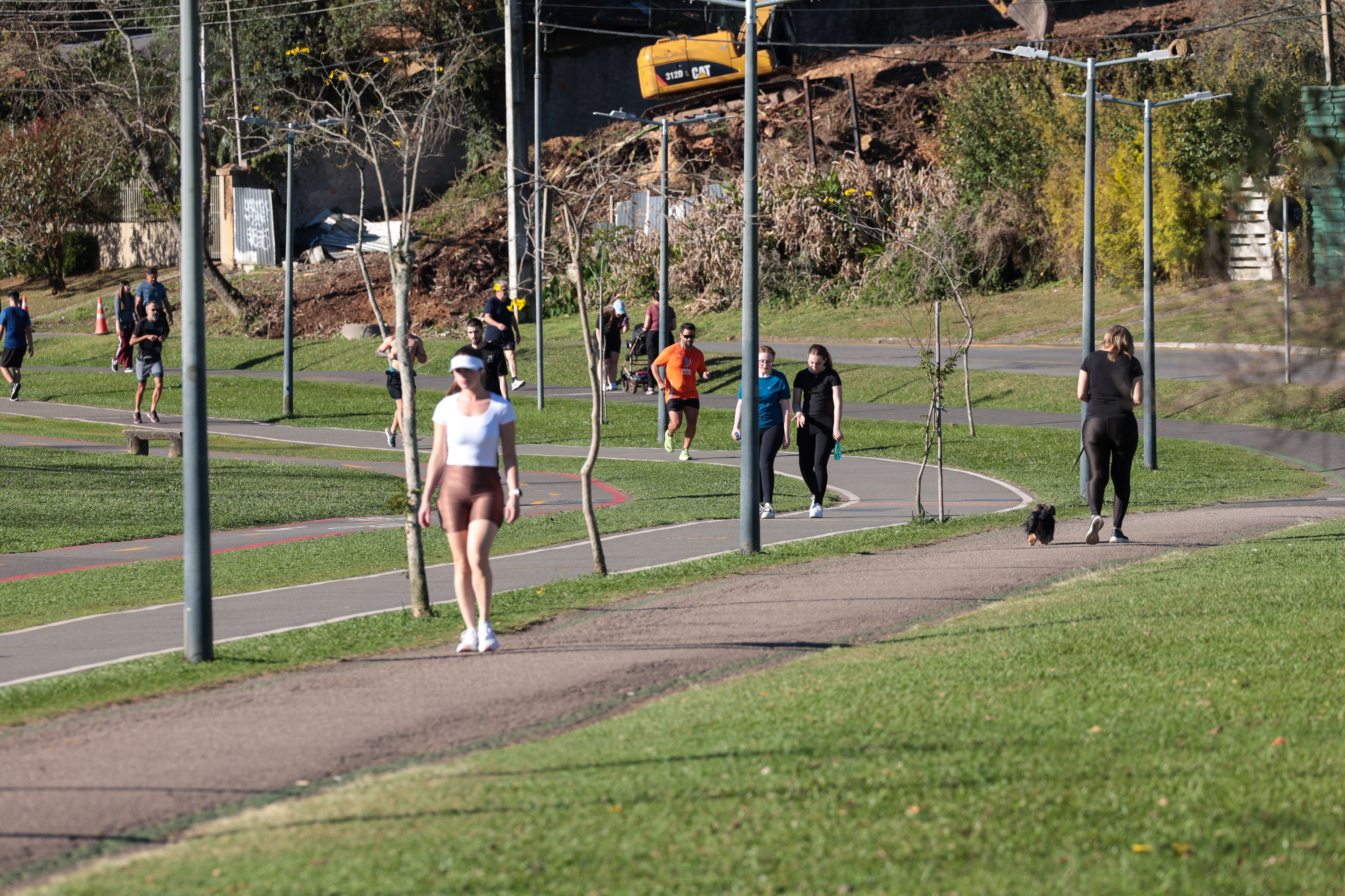 Urbana, com 60 anos ou mais, alfabetizada: veja perfil da população do Paraná, segundo pesquisa