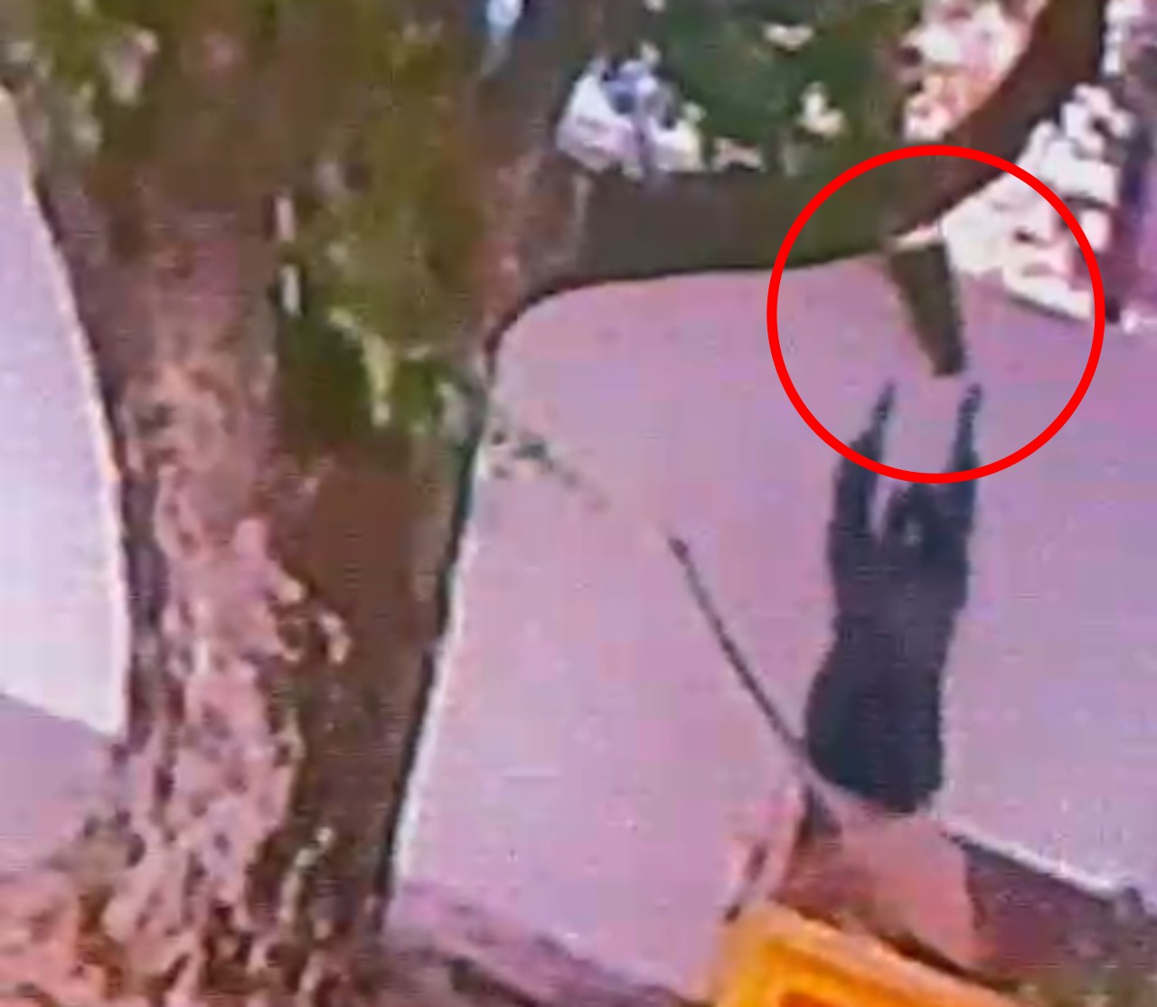 VÍDEO: câmera flagra suspeito arremessando por cima do muro vaso de bronze furtado de cemitério