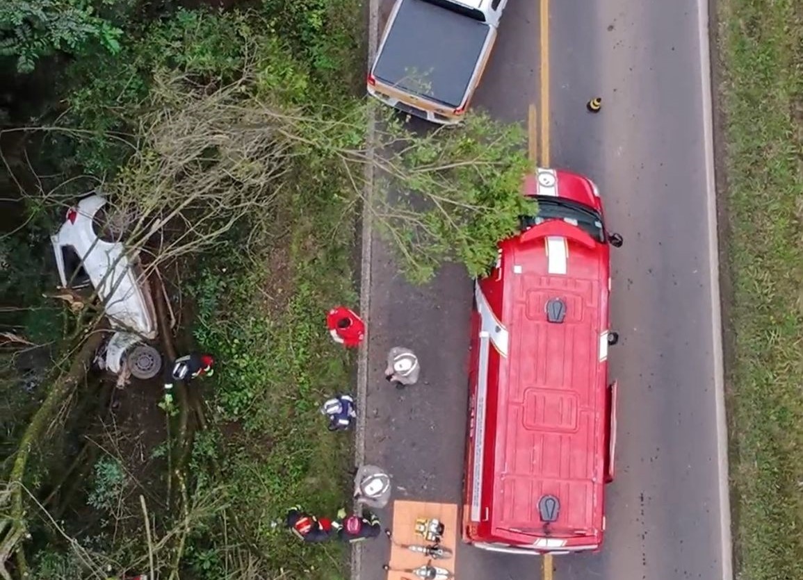 Homem morre após colidir contra árvore em acidente na RS-124, em Harmonia