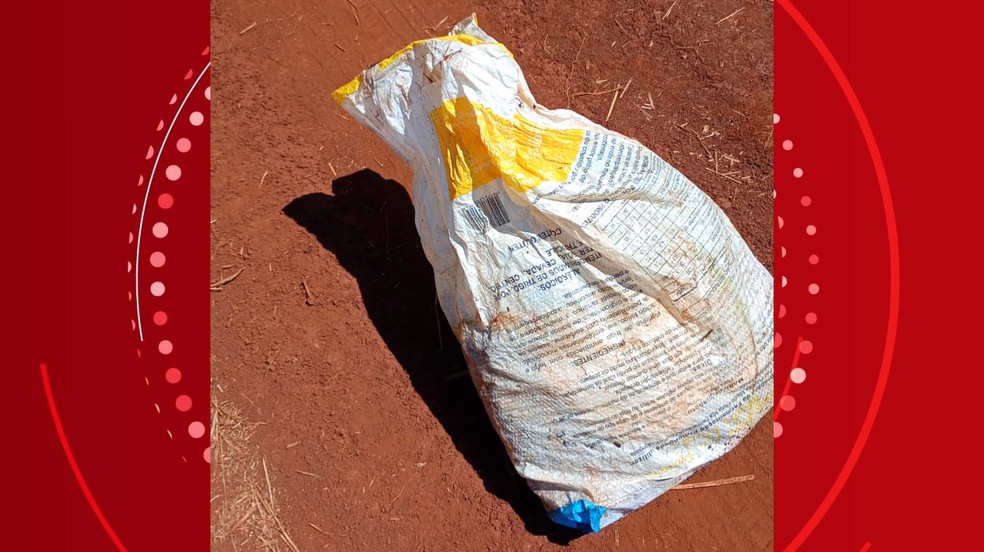 Sacola com roupas de Lucas estava perto do local em que a caminhonete foi abandonada. — Foto: Cedidas pela família