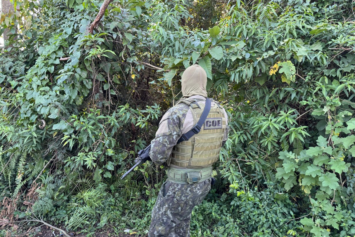 PM mata suspeitos em troca de tiros na Rodovia dos Imigrantes, em SP