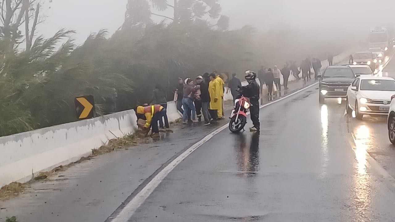 População saqueia carga de caminhão enquanto cinco pessoas com ferimentos graves são socorridas em acidente no Paraná