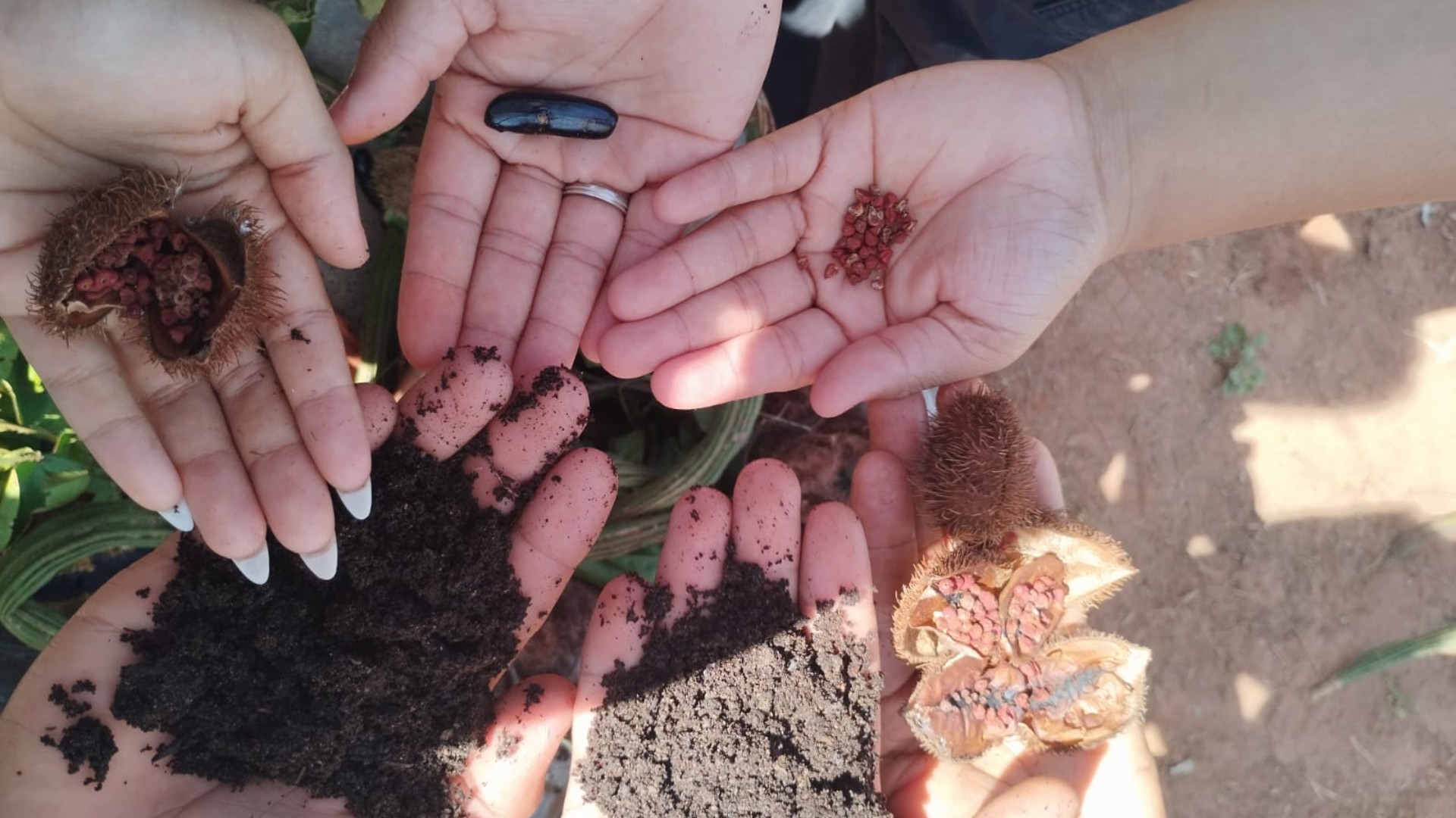 Alunos desenvolvem trilha ecológica para unir escola, áreas de cultivo e mata em MT