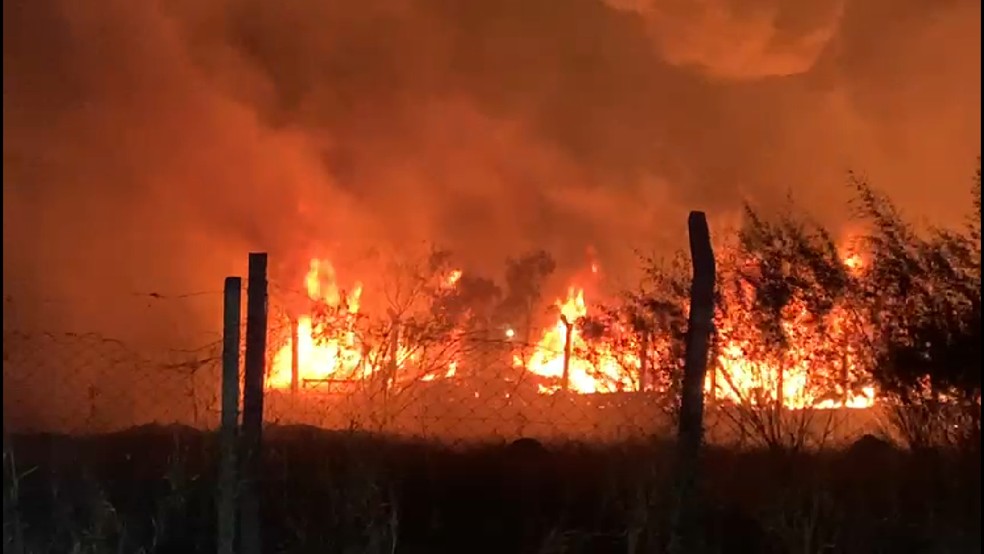 Mais de 4 mil queimadas são registradas este ano em MG; número já ultrapassa os de 2023 | Minas Gerais | G1