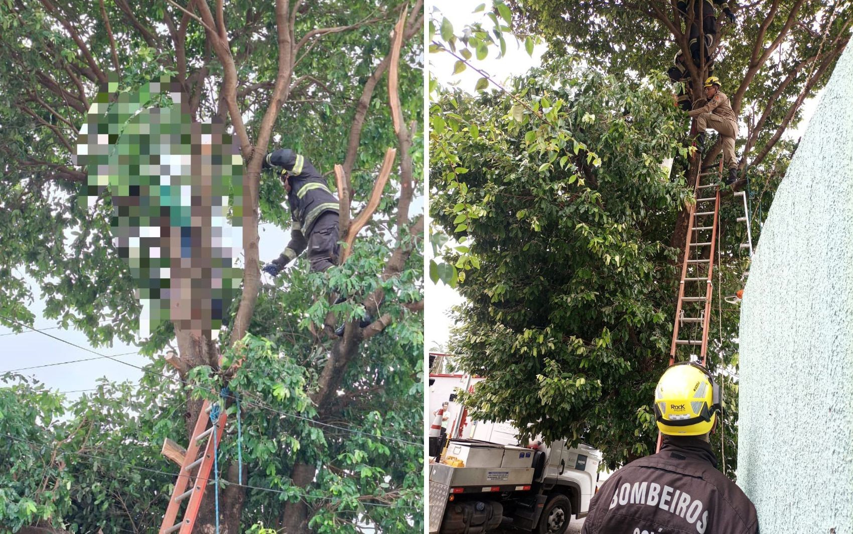 Homem morre após levar choque enquanto podava árvore, em Caldas Novas
