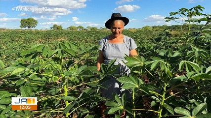 Agricultora de Cariri do Tocantins conquista prêmio com cultivo de mandioca