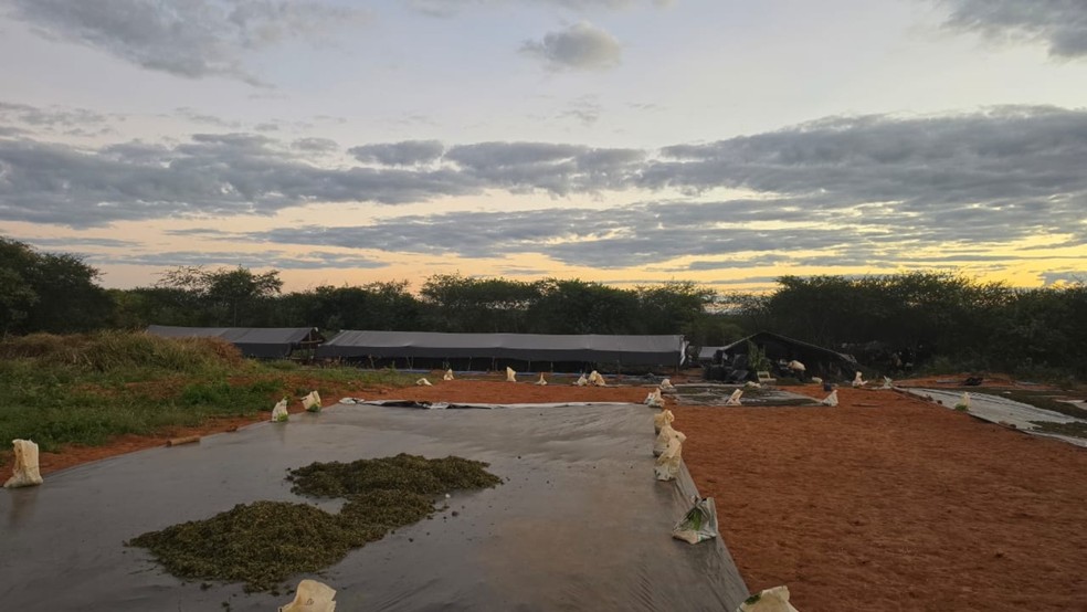 O material foi encontrado em um sítio na cidade de Acopiara. — Foto: Divulgação/SSPDS