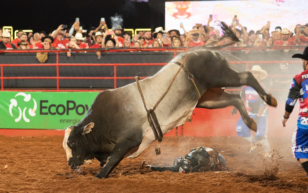 Peão de Uberaba vence rodeio em touros no 8º Rodeio da Solidariedade de  Presidente Olegário