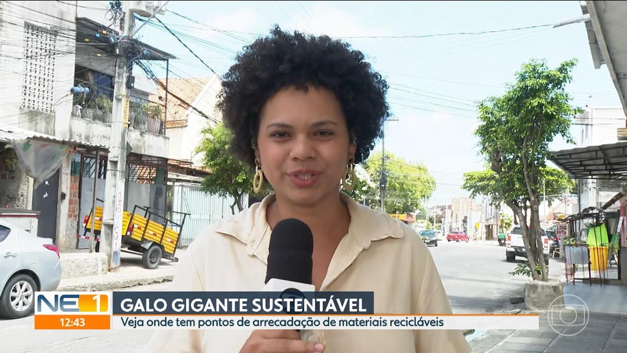 Galo Gigante sustentável: saiba como doar garrafas PET para confecção da alegoria que é símbolo do carnaval do Recife