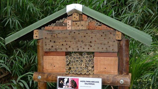 Meliponário de abelhas e trajeto sobre socioambientalismo: conheça os novos roteiros do Jardim Botânico da UFJF