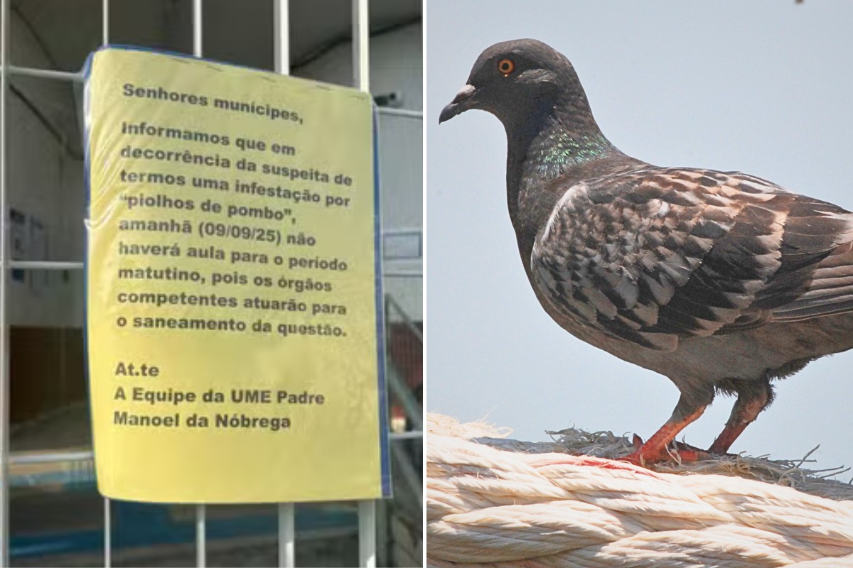 Você Não Tá Convidada pro Meu Bat Mitzvá!