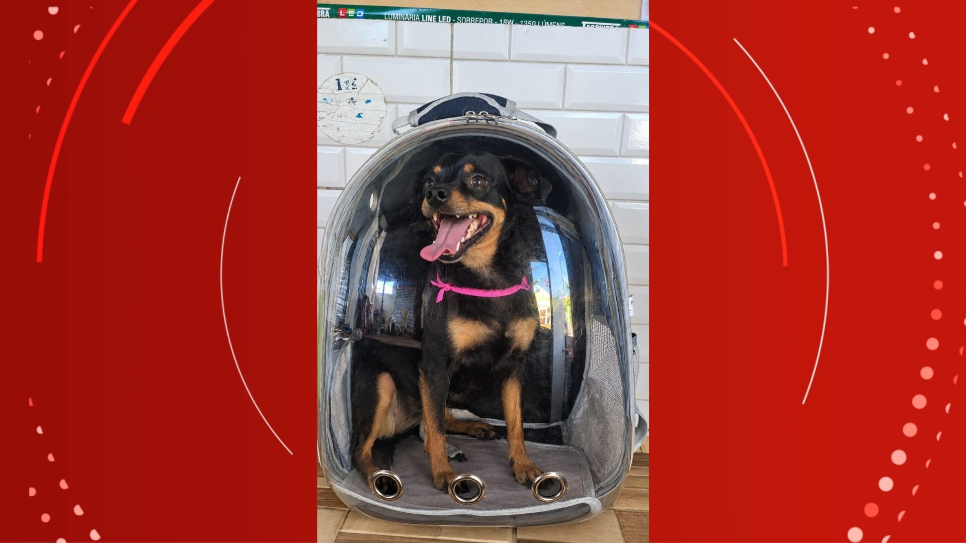 Mel com a mochila de astronauta. — Foto: Karina Barros/Divulgação
