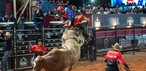 Final da montaria em touros da PBR foi um dos destaques da 4ª noite da Festa do Peão de Americana 2026, neste domingo (7) — Foto: Thomaz Marostegan