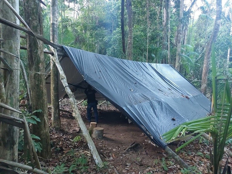 Terra Indígena Cachoeira Seca é alvo de operação da PF contra invasões desmatamento, no PA